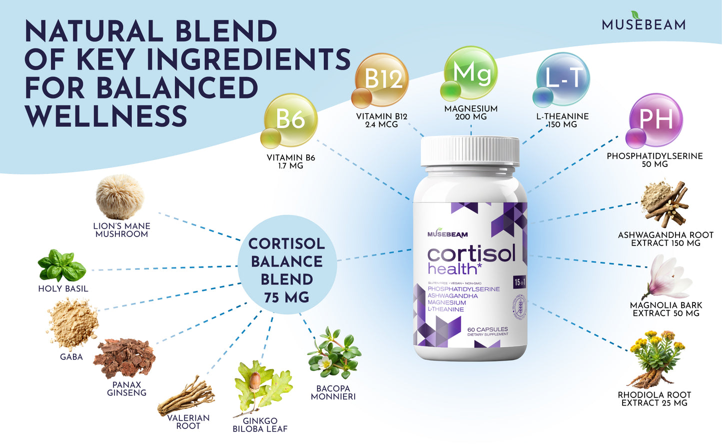 MuseBeam Cortisol Detox Supplement