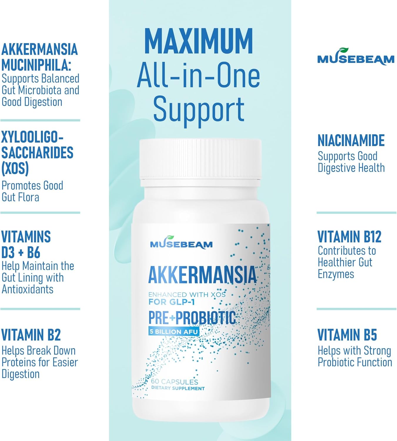 MuseBeam Akkermansia Muciniphila Capsule