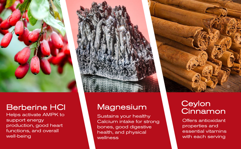 MuseBeam Berberine HCL Magnesium Glycinate Supplement