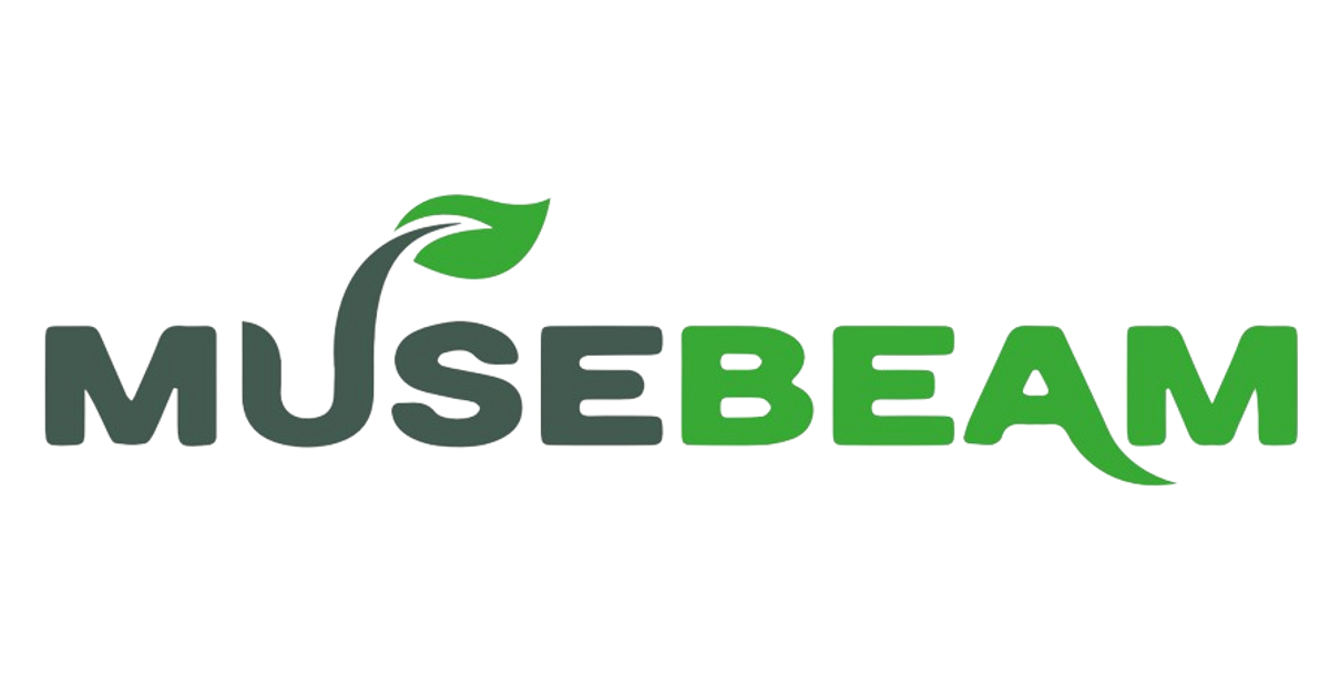 MuseBeam: Lighting the Way to Better Health